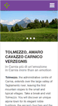 Mobile Screenshot of concatolmezzina.it